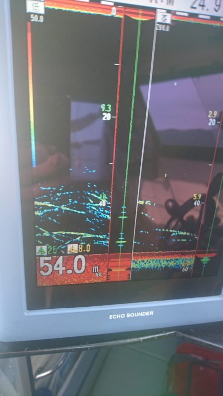 遊漁船ブルーウッズ 釣果