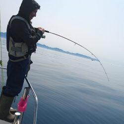 遊漁船ブルーウッズ 釣果