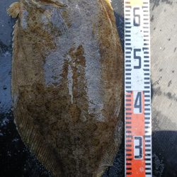 第二龍勢丸 釣果