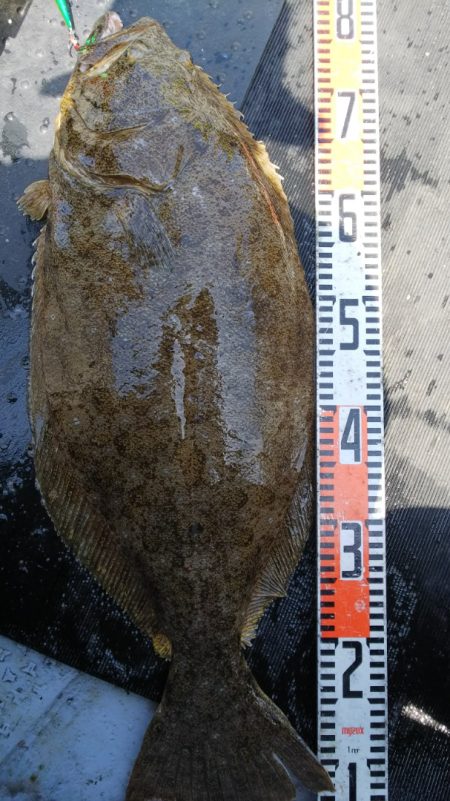 第二龍勢丸 釣果