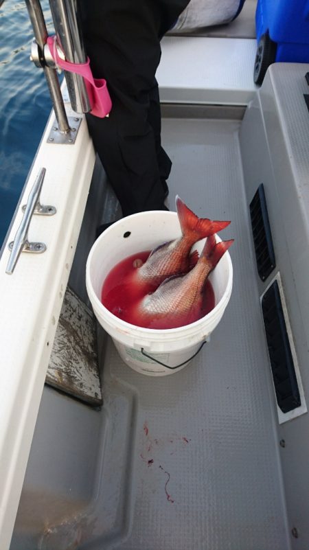 遊漁船ブルーウッズ 釣果