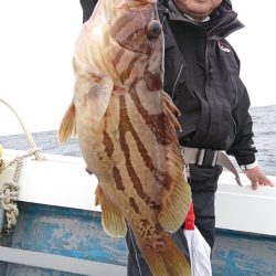 だて丸 釣果