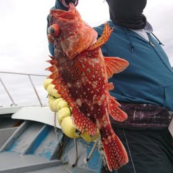だて丸 釣果