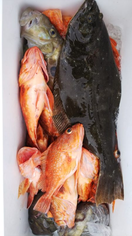 第二龍勢丸 釣果