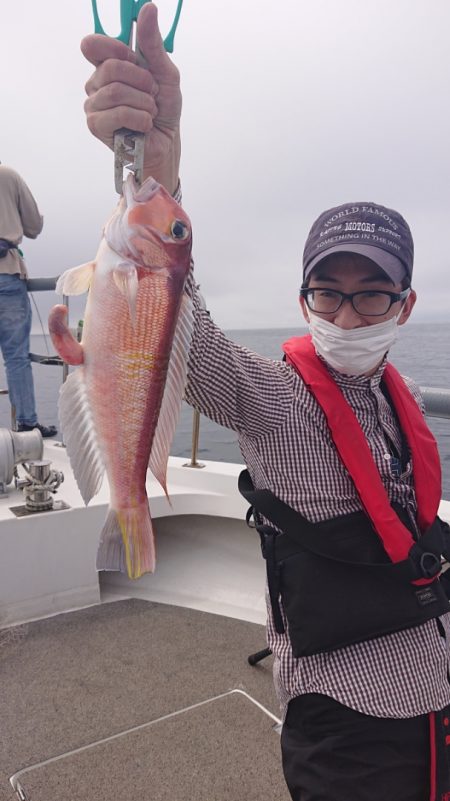 ARCADIAⅡ （アルカディアⅡ） 釣果