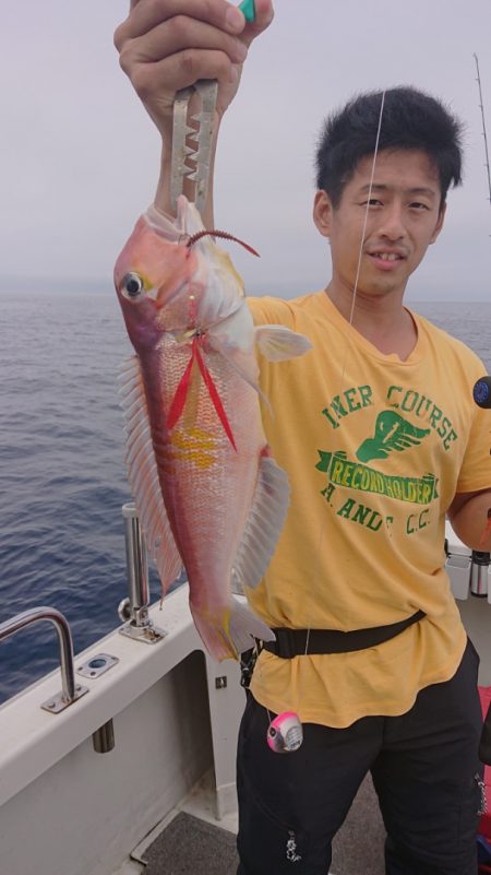 ARCADIAⅡ （アルカディアⅡ） 釣果