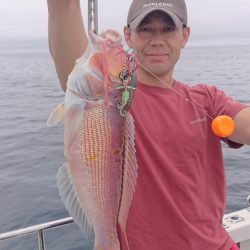 ARCADIAⅡ （アルカディアⅡ） 釣果