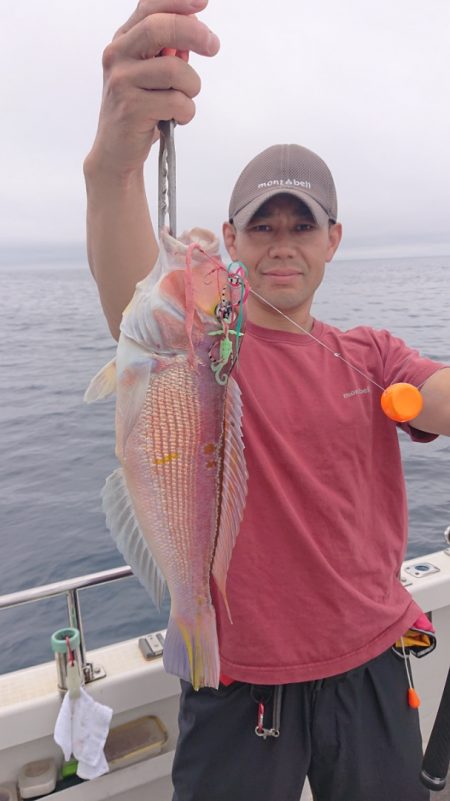 ARCADIAⅡ （アルカディアⅡ） 釣果