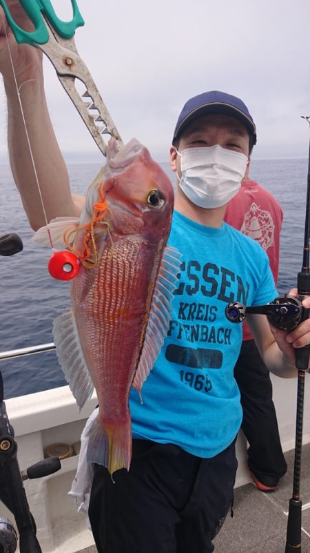 ARCADIAⅡ （アルカディアⅡ） 釣果