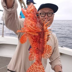 ARCADIAⅡ （アルカディアⅡ） 釣果