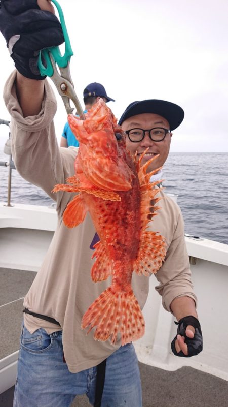 ARCADIAⅡ （アルカディアⅡ） 釣果