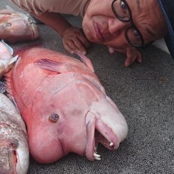 ARCADIAⅡ （アルカディアⅡ） 釣果