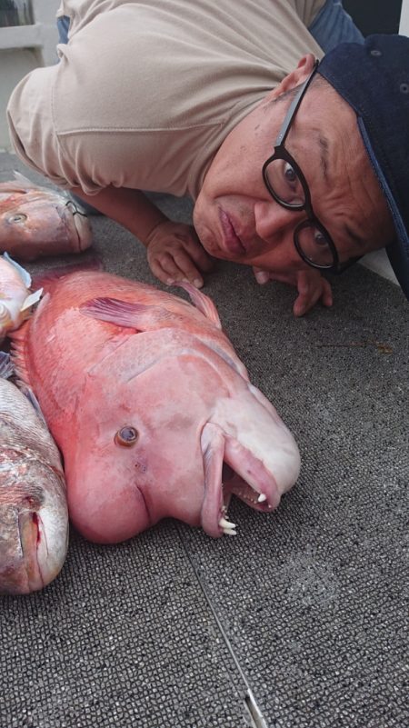 ARCADIAⅡ （アルカディアⅡ） 釣果