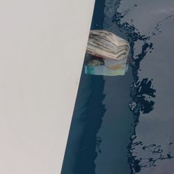 ARCADIAⅡ （アルカディアⅡ） 釣果