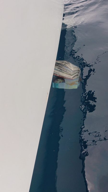 ARCADIAⅡ （アルカディアⅡ） 釣果