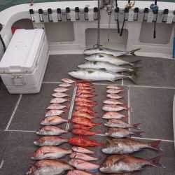 ARCADIAⅡ （アルカディアⅡ） 釣果