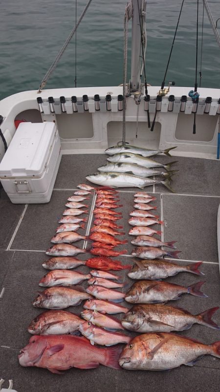 ARCADIAⅡ （アルカディアⅡ） 釣果