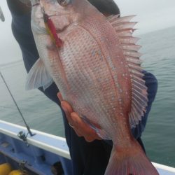 新幸丸 釣果