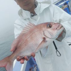 新幸丸 釣果