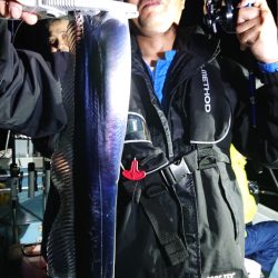 シースナイパー海龍 釣果