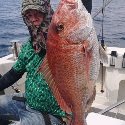 ARCADIAⅡ (アルカディアⅡ) 釣果