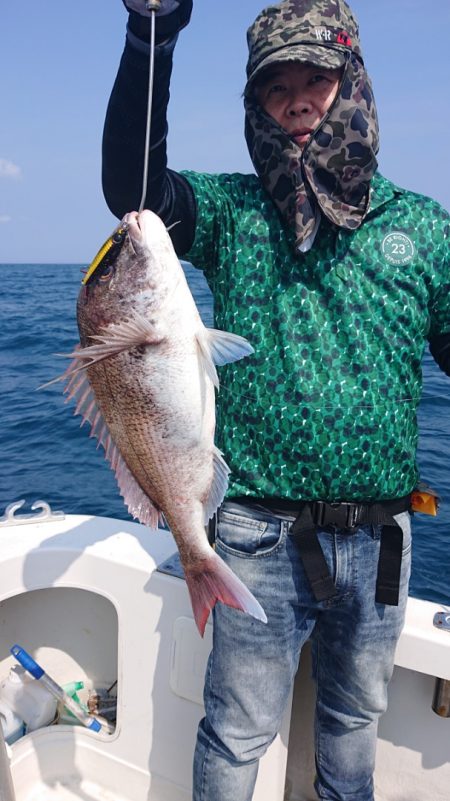 ARCADIAⅡ (アルカディアⅡ) 釣果