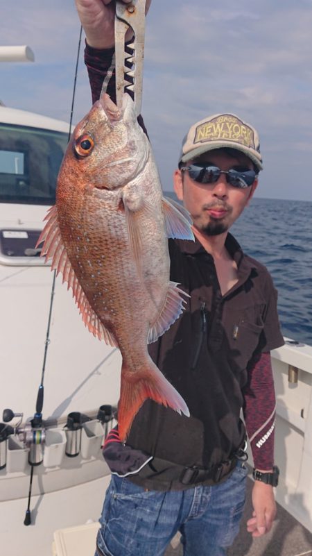 ARCADIAⅡ (アルカディアⅡ) 釣果