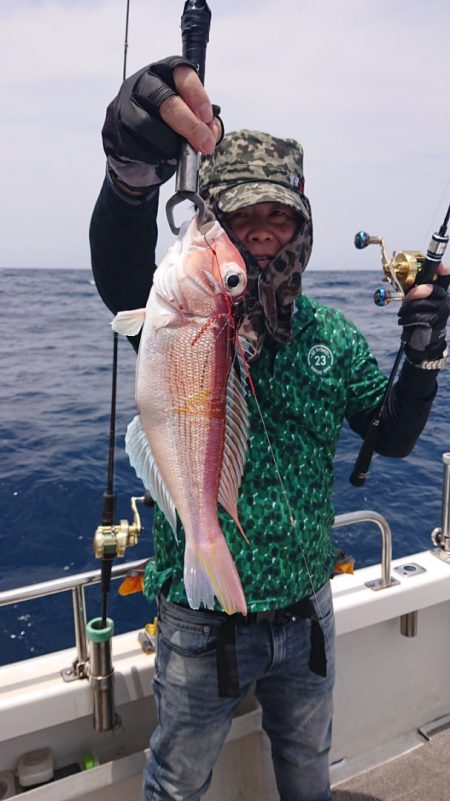 ARCADIAⅡ (アルカディアⅡ) 釣果