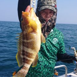 ARCADIAⅡ (アルカディアⅡ) 釣果