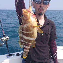 ARCADIAⅡ (アルカディアⅡ) 釣果