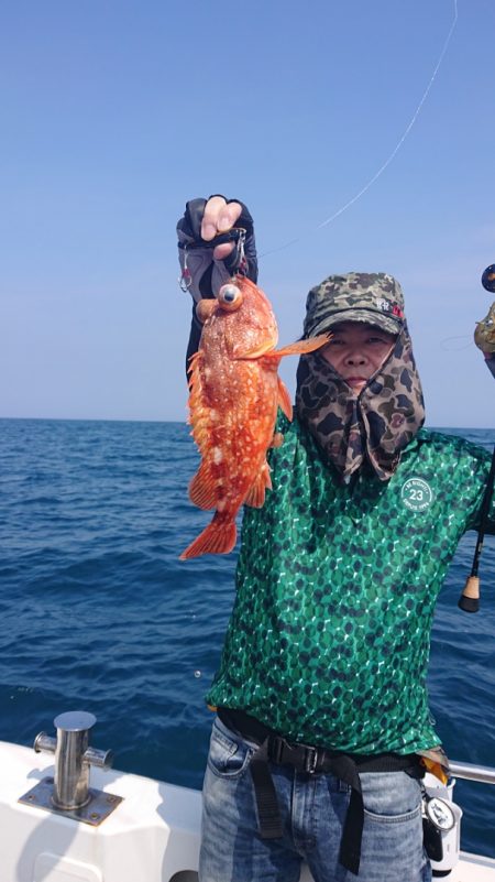 ARCADIAⅡ (アルカディアⅡ) 釣果