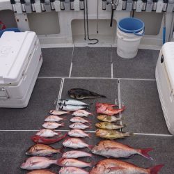 ARCADIAⅡ (アルカディアⅡ) 釣果