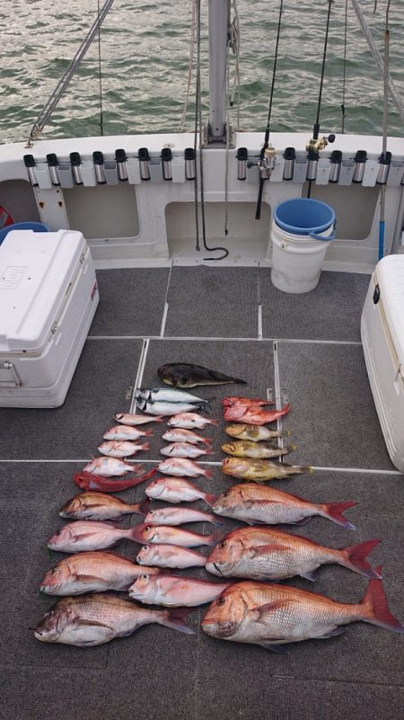 ARCADIAⅡ (アルカディアⅡ) 釣果