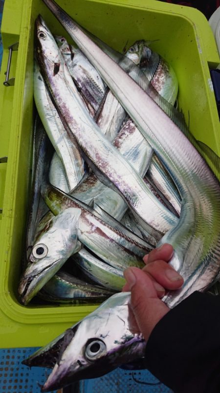 シースナイパー海龍 釣果