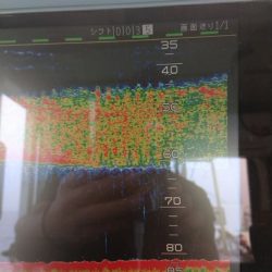 金沢八景鴨下丸 釣果