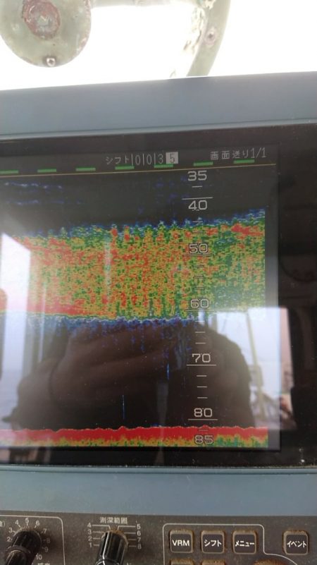 金沢八景鴨下丸 釣果