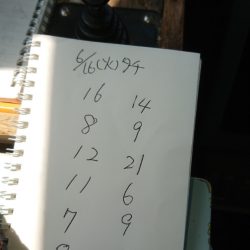 金沢八景鴨下丸 釣果