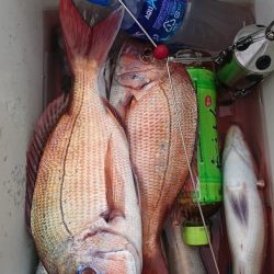 第三共栄丸 釣果