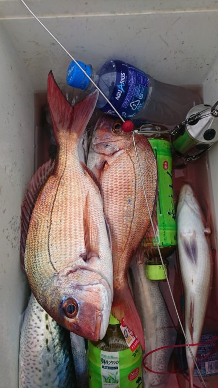 第三共栄丸 釣果