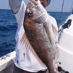 ARCADIAⅡ （アルカディアⅡ） 釣果