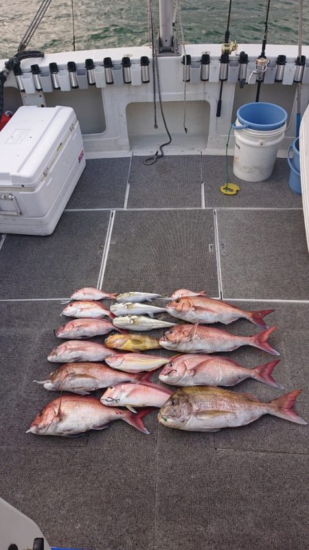 ARCADIAⅡ （アルカディアⅡ） 釣果