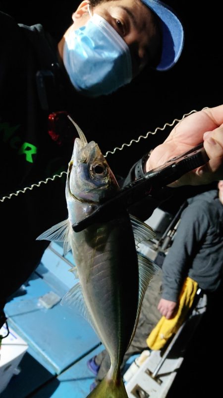 シースナイパー海龍 釣果