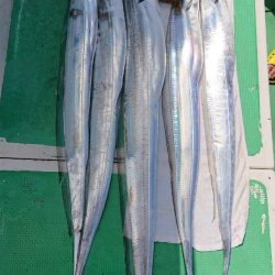 金沢八景鴨下丸 釣果