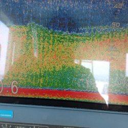 金沢八景鴨下丸 釣果