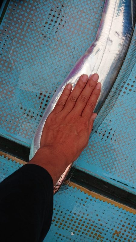 シースナイパー海龍 釣果