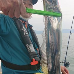 シースナイパー海龍 釣果