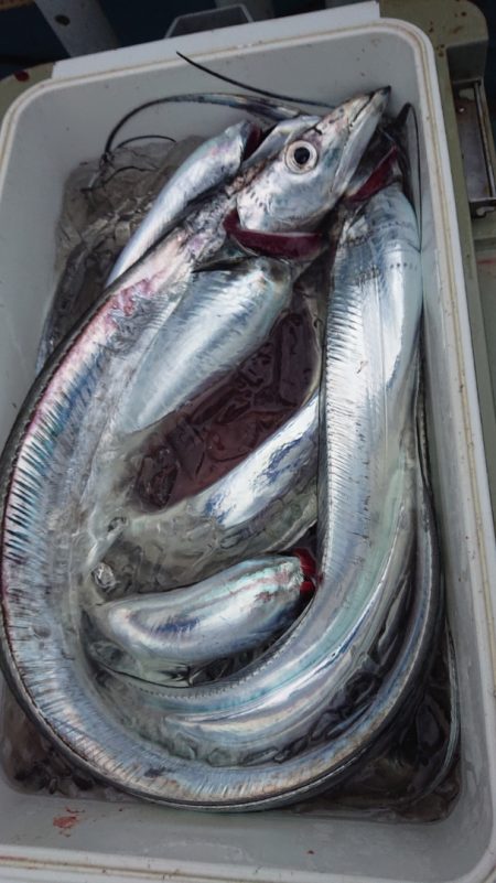 シースナイパー海龍 釣果