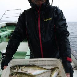小島丸 釣果