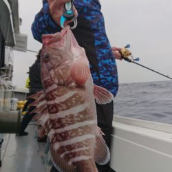 だて丸 釣果