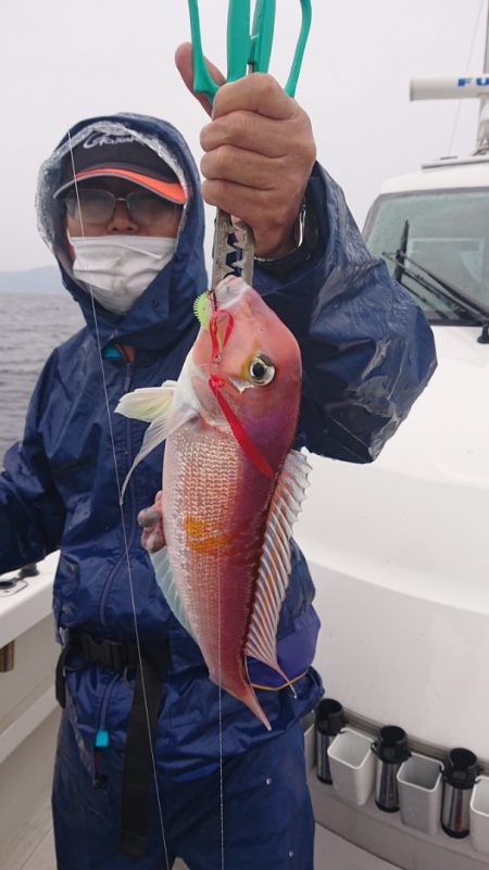 ARCADIAⅡ (アルカディアⅡ) 釣果